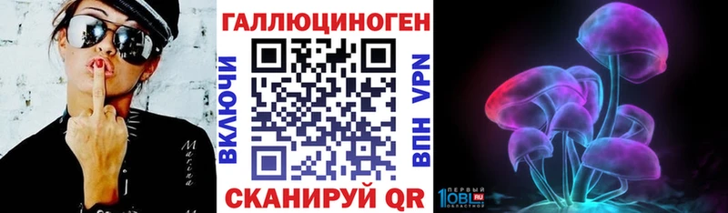 Галлюциногенные грибы Psilocybine cubensis Кировград